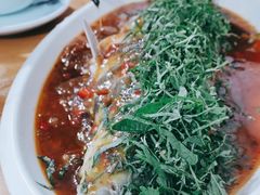 -老字号怡玺·藿香雅鱼(20年雅安店)