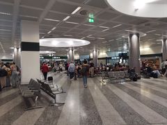 -米兰-马尔彭萨机场