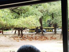 -广州长隆野生动物世界