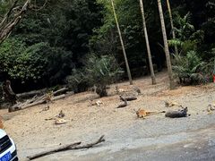 -广州长隆野生动物世界