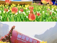 -河南宝泉旅游区