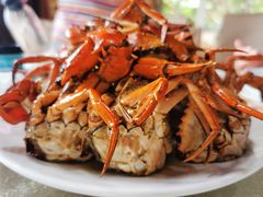 -莲花公园煎蟹(总店)