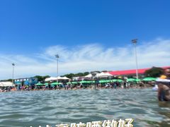 -碧海金沙