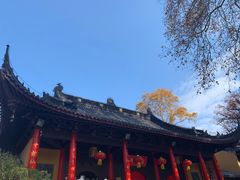-灵谷景区