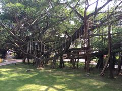 -颐和澜悦欢乐水世界(原颐和温泉城)
