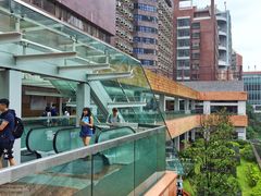 -香港大学