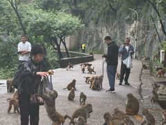 -黔灵山公园-南门售票处