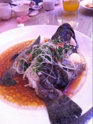 -帝元维多利亚大酒店·宴会厅