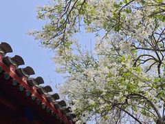 -北京鲁迅博物馆(北京新文化运动纪念馆鲁博馆区)