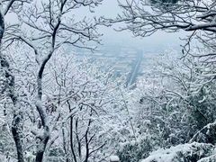 -沧浪亭