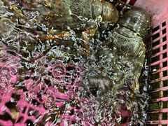 -众味海鲜大排档·活海鲜·潮汕味(南澳店)