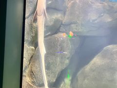 -福州罗源湾海洋世界旅游区