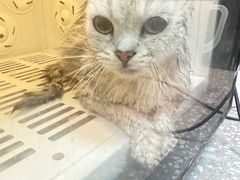 -宠物家(角门东店)
