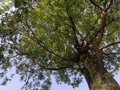 -艾溪湖湿地公园