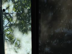 -星巴克(西湖天地店)