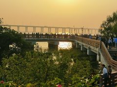 -宝安西湾红树林湿地公园