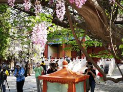 -北京国子监胡同