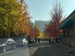 -辽宁大学(崇山校区)