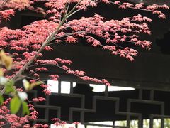 -杭州植物园