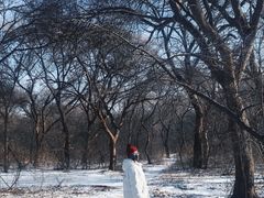 -北陵公园