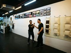 -温鉴良实用咏春拳