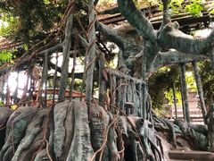 -江天生态园餐厅