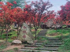 -广州市帽峰山景区