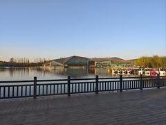 -上海长兴岛郊野公园