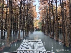 -尚湖风景区