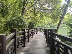 -白马涧龙池景区