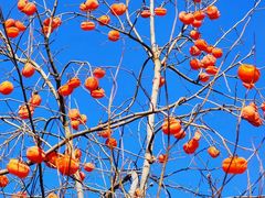 -东亿天弘演播大厅