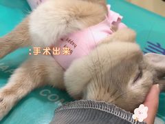 -美迦爱-牙专科·兔科·骨科诊疗中心(北苑店)