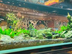 -泰谷酒店·太古码头闽菜自助餐厅