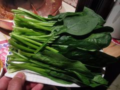 菠菜-东镇老火锅(长春路首店)