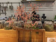 -柴务处·柴犬主题狗咖