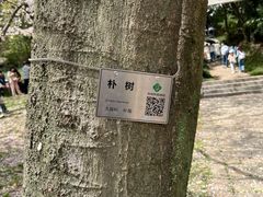 -苏州上方山国家森林公园