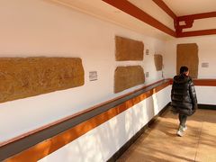 -徐州汉画像石艺术馆