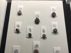 -古陶文明博物馆