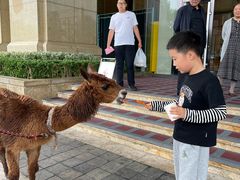-济南喜来登酒店