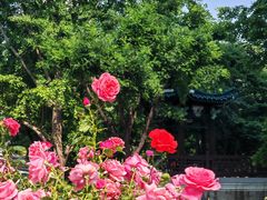 -中国人民解放军空军特色医学中心(空军总医院)