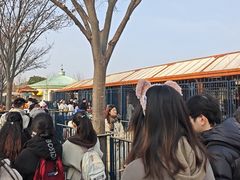 -迪士尼小镇