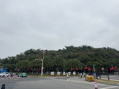 -野狸岛