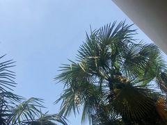 -Big House当代艺术中心