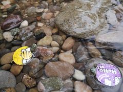 -青城两河漂流