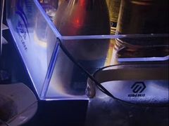 -Club Queen皇后酒吧