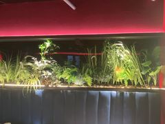 -沪小胖·小龙虾·蓝龙王(八佰伴店)