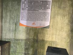 -816工程景区