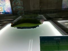 -福州长乐国际机场