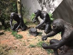 -北京周口店北京人遗址博物馆