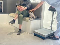 -关爱宠物医院·猫科中心·消化科(滨湖万达分院)